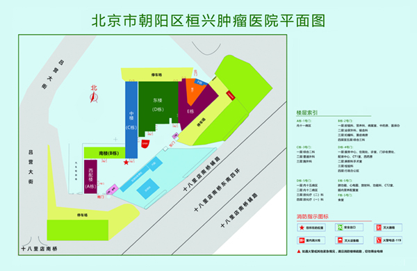 骚逼好痒快操我视频北京市朝阳区桓兴肿瘤医院平面图